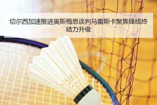 切尔西加速推进奥斯梅恩谈判马雷斯卡聚焦锋线终结力升级